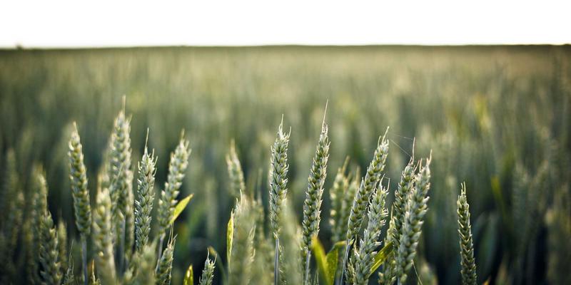 业务流程优化与管理培训：企业咨询如何助力传统制造业实现精益生产与成本控制突破