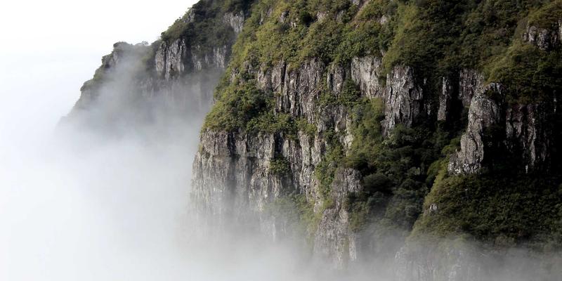 中小企业战略咨询与增长瓶颈突破：维诺斯特的组织发展之道