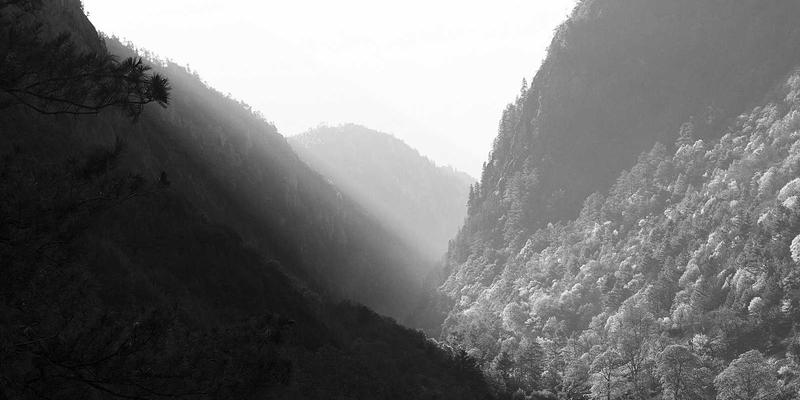 从愿景到执行：企业战略咨询如何赋能中小企业制定五年发展规划