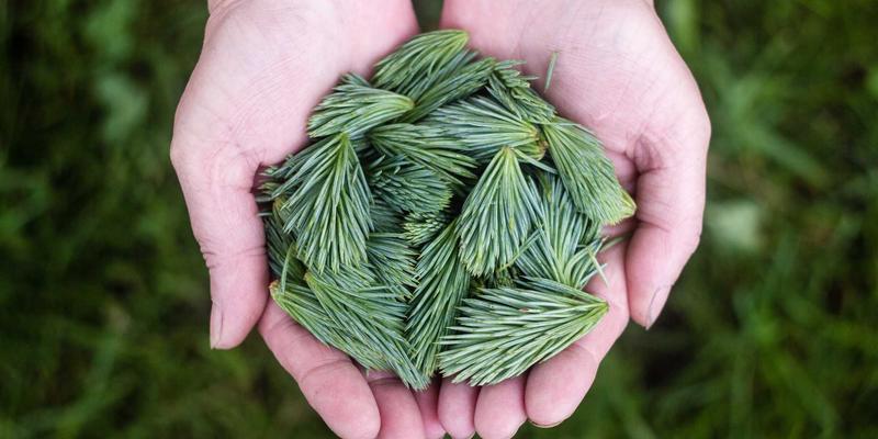 企业咨询62:以业务流程优化为基石,驱动领导力与组织协同发展