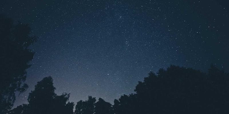 企业咨询83：以业务流程优化驱动战略规划，维诺斯特方法论实践指南