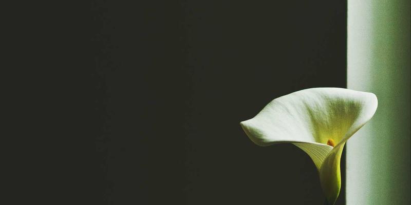 企业咨询双引擎:业务流程优化与领导力发展的协同之道