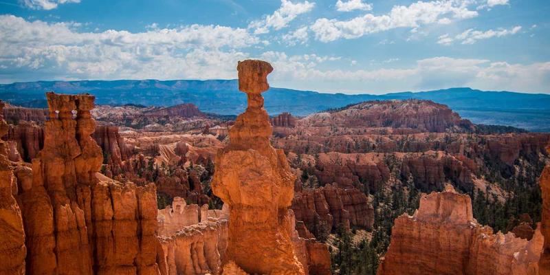 企业咨询如何破解员工高流失率难题：业务流程优化与维诺斯特模型实战