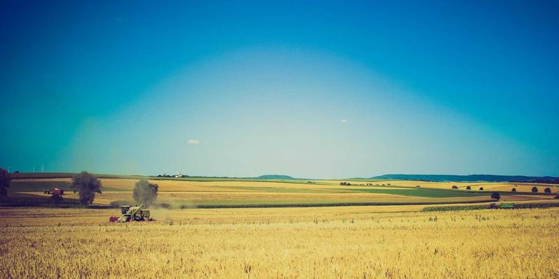 企业咨询如何赋能领导力发展？维诺斯特模型引领组织变革