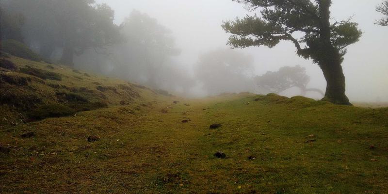 企业咨询新范式：以领导力发展与业务流程优化驱动内部孵化与开放式创新