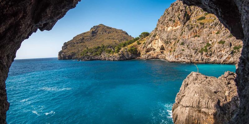 企业咨询视角下的成本领先战略与价值链重构：驱动组织发展的核心路径