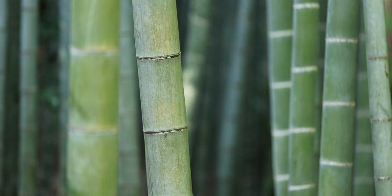 企业敏捷转型咨询：从团队敏捷到业务敏捷的规模化实施路径与业务流程优化