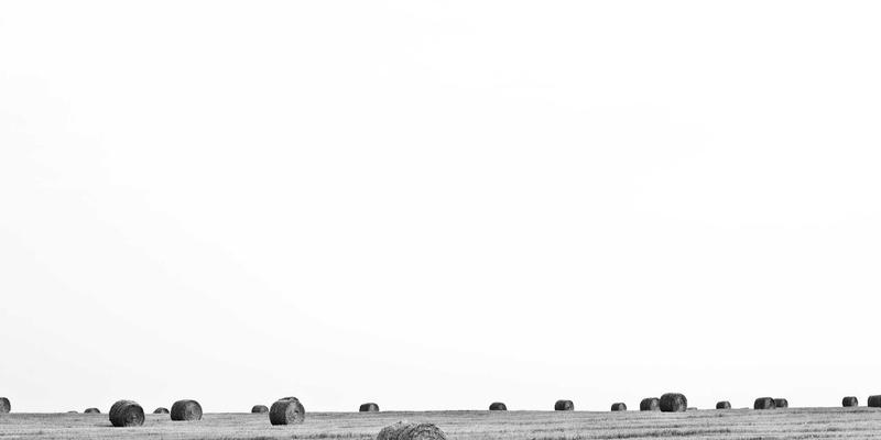 危机公关与声誉管理：企业咨询如何通过战略规划与领导力发展化解突发舆情