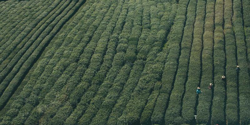 后疫情时代企业供应链韧性构建：维诺斯特咨询视角下的风险评估与业务流程优化策略