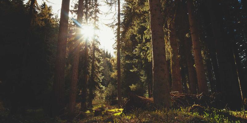 战略规划与组织发展新范式：维诺斯特咨询工具如何重塑企业OKR/KPI绩效管理体系