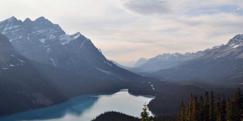 战略规划引领，流程优化赋能：企业咨询如何助力中小企业构建低成本高效益的数字化营销体系