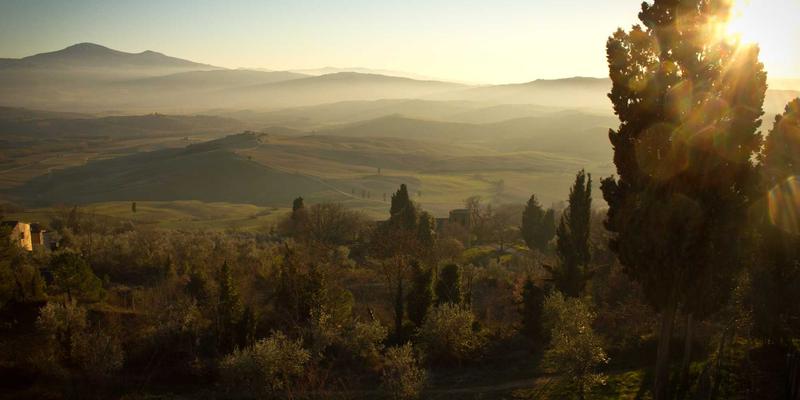 管理培训与战略规划双轮驱动：维诺斯特如何赋能企业持续增长