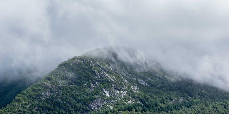 组织发展、业务流程优化与领导力发展：供应链咨询如何驱动制造业库存周转率跃升