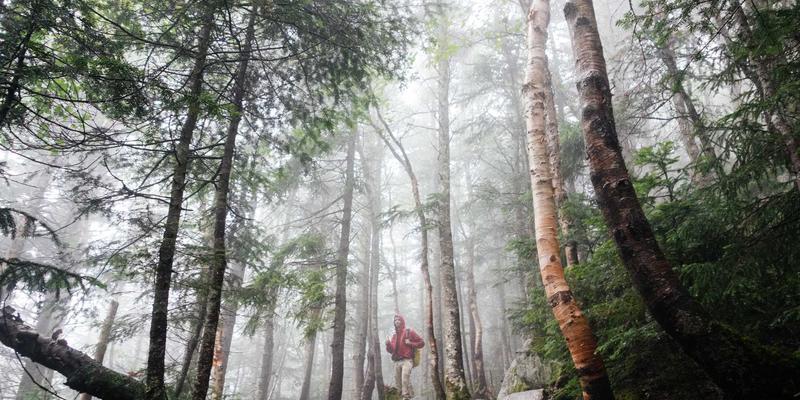 组织发展新引擎：维诺斯特管理培训视角下的股权激励方案设计