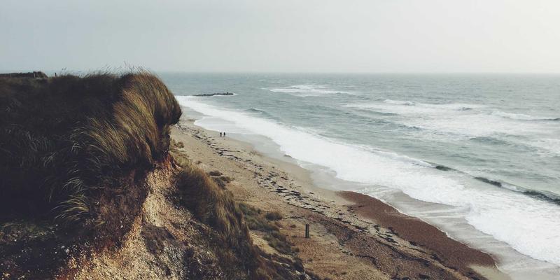 维诺斯特视角：业务流程优化如何驱动组织发展新范式