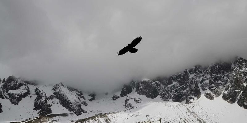 维诺斯特视角：企业咨询三大核心技巧，赋能管理培训与组织发展
