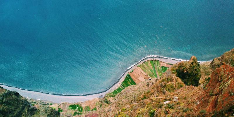 领导力发展与维诺斯特管理培训：数字化转型中咨询顾问的双重角色