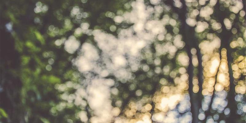 领导力发展新范式：维诺斯特企业咨询如何系统化沉淀组织智慧